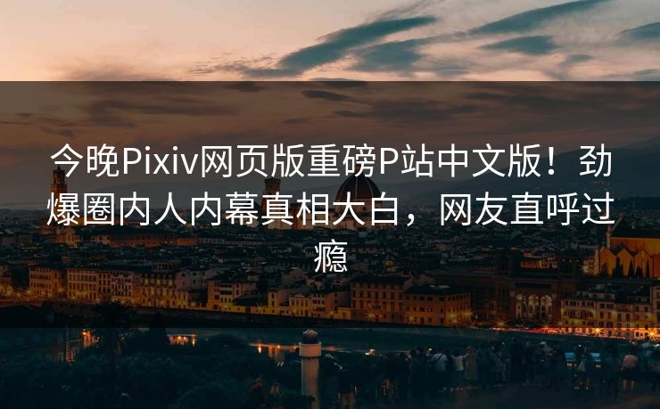 今晚Pixiv网页版重磅P站中文版！劲爆圈内人内幕真相大白，网友直呼过瘾