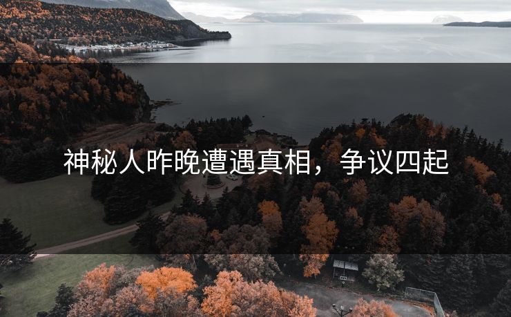 神秘人昨晚遭遇真相，争议四起