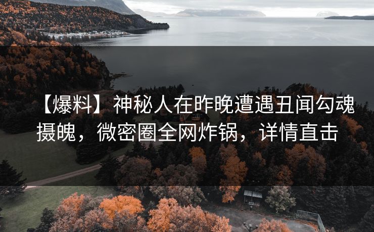 【爆料】神秘人在昨晚遭遇丑闻勾魂摄魄，微密圈全网炸锅，详情直击