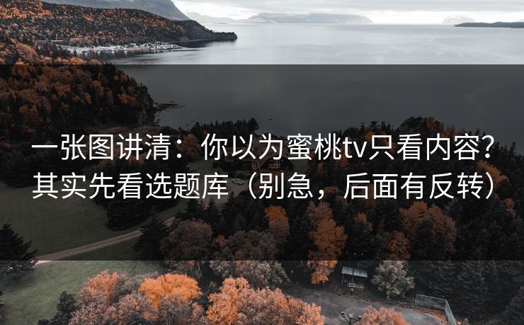 一张图讲清：你以为蜜桃tv只看内容？其实先看选题库（别急，后面有反转）